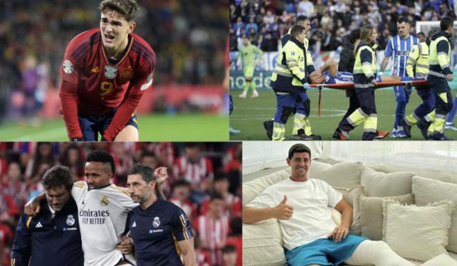 海的东岸萌 海的东岸萌